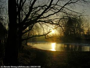 Teich im Morgengrauen
